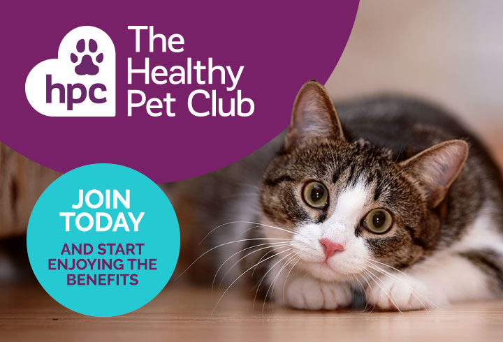 Join The Healthy Pet Club today