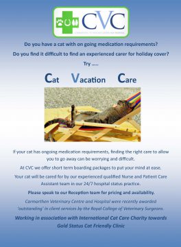 Cat Vacation Care