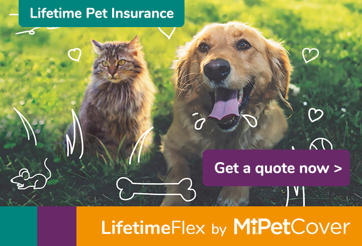 Get a quote for MiPet Cover LifetimeFlex